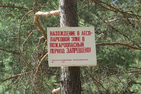 Противопожарный режим на территории Петербурга продлевается по 14 июня