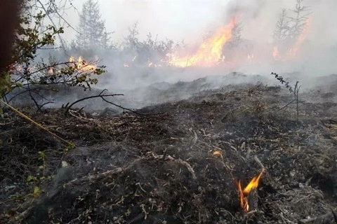 Оперативная работа пожарных добровольцев села Беляковское Талицкого городского округа