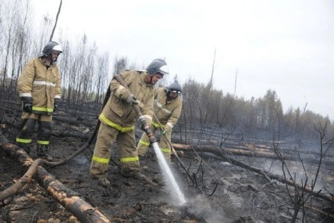 Природный пожар у поселка Радужный Магаданской области локализован