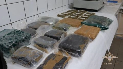 В Санкт-Петербурге полицейскими из незаконного оборота изъято около 35 килограммов запрещенных веществ