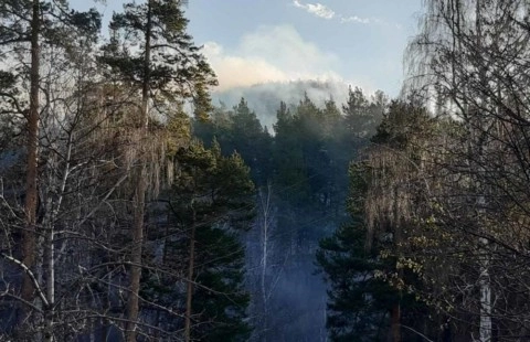 Пожар на территории Миасского городского округа локализован