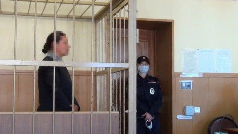 Оперативники столицы задержали подозреваемую в хищении денег через украденный в баре телефон