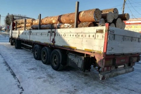 В Алтайском крае полицейские задержали подозреваемых в незаконной заготовке леса