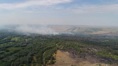 128 человек привлечены к тушению лесного пожара в Ташлинском районе Оренбургской области