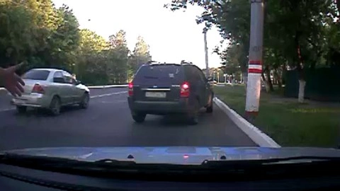 В Саранске сотрудник ДПС оказал помощь пострадавшей от укуса змеи женщине