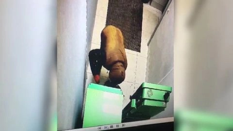 В Сургуте задержаны мужчины, которые намеревались взорвать банкомат с 3 млн рублей