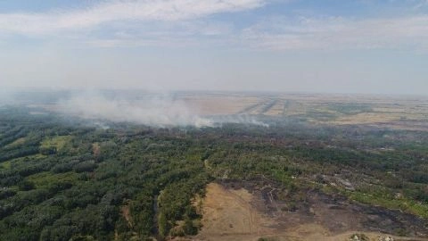 Лесные пожары в Бурятии выявляют с помощью видеокамер