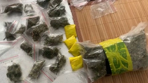 В Крыму полицейские задержали производителя конопли и сбытчика «дурман-травы»