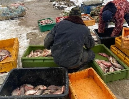 За рыбалку с использованием запрещённых орудий лова задержан житель Ростовской области