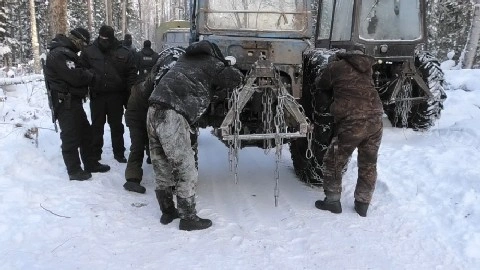 В Якутии пресечены коррупционные преступления «черных» лесорубов