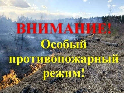В Краснодарском крае объявлен 4-й класс пожароопасности