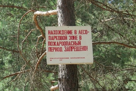 В 56 субъектах страны установлен особый противопожарный режим