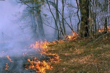 Высокий уровень пожароопасности ожидают в Бурятии