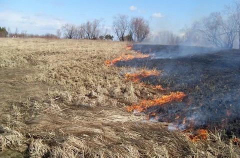 В Волгодонске Ростовской области полицейские установили мужчину, который умышленно поджёг сухую растительность