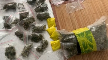 В Приморье сотрудники полиции выявили факт незаконного хранения крупной партии наркотиков жителем Чугуевского района