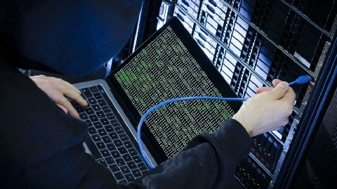 База данных работников компании DNS слита в интернет-сеть