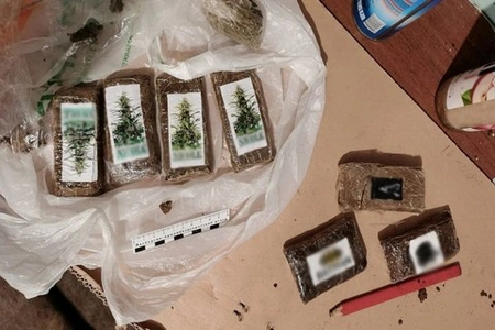 Крупную партию гашиша изъяли инспекторы ГИБДД в Московской области у водителя, остановленного для проверки документов
