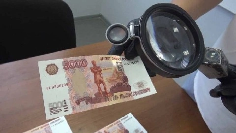 Уроженец страны в Южной Африке подозревается в сбыте фальшивок в Подмосковье