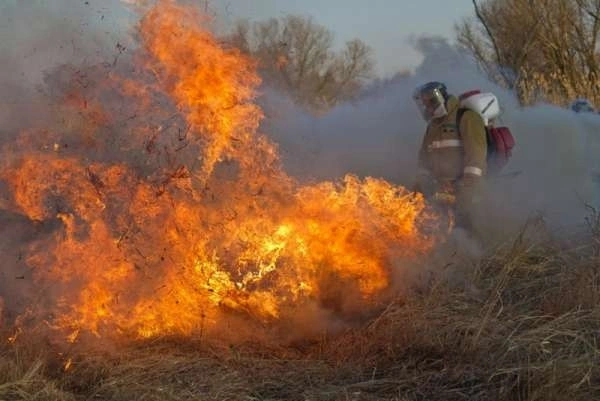 В Боградском районе Хакасии ликвидирован крупный пал