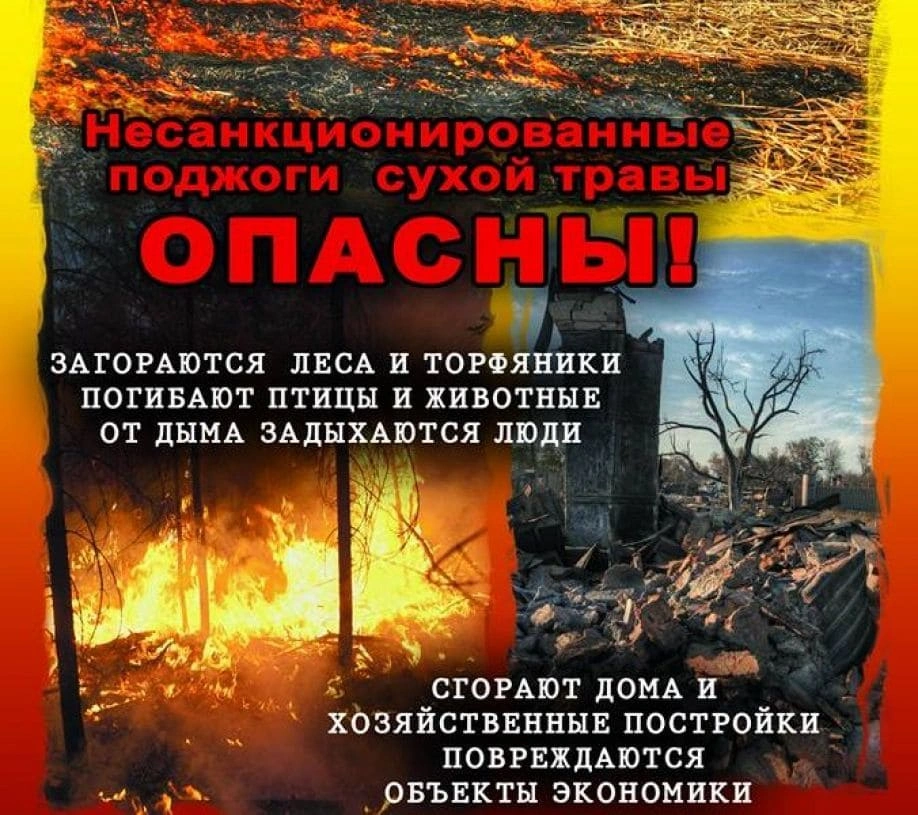 Кампания против поджогов сухой травы проводится в Тульской области