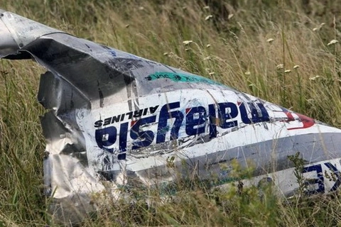 Антипов предоставил доказательства еще двух взрывов на борту MH17