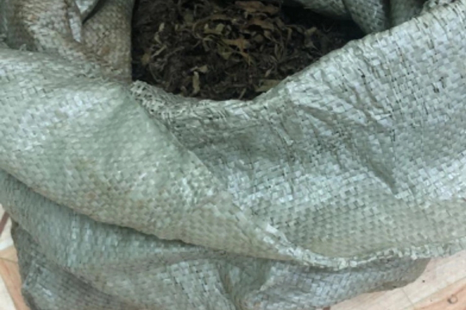 В Якутии полицейские пресекли незаконное хранение наркотиков растительного происхождения