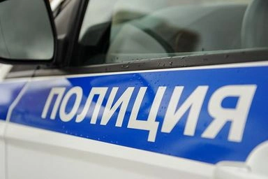 Подмосковные полицейские задержали подозреваемых в краже из машины с ущербом почти 1,5 млн рублей