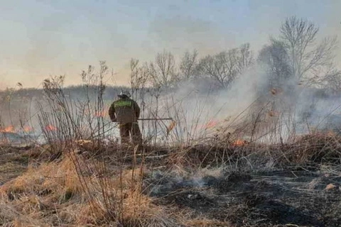 На переднем рубеже