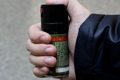 Работник ООО ЧОП «ЛЕГИОНЕР-100» предотвратила пронос перцового баллончика в школу