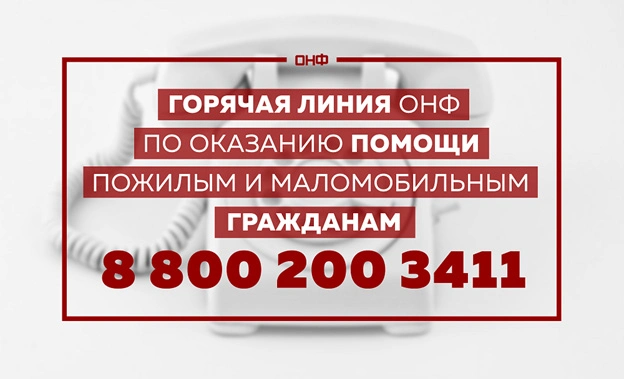 Всероссийская поддержка: К работе штабов ОНФ по оказанию помощи пожилым людям присоединились более трех тысяч волонтеров