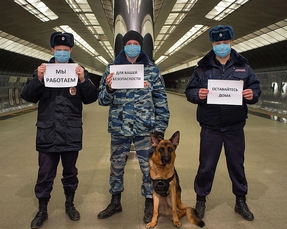 Оставайтесь дома - к этому полицейские призывают жителей Северной Осетии