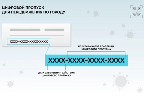 Цифровые пропуска. Основные правила и этапы введения