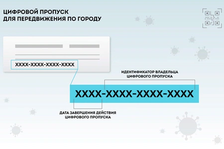 Цифровые пропуска. Основные правила и этапы введения
