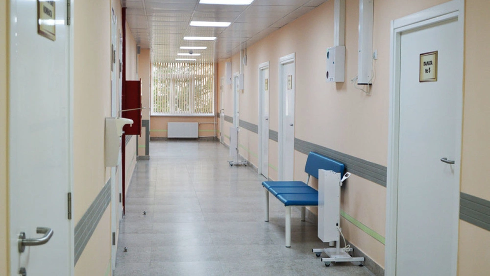 В поселке Диксон стая бездомных собак растерзала пятилетнюю девочку