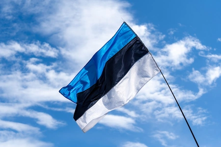 В Эстонии возбудили более 30 дел из-за нарушений на праздновании 9 Мая