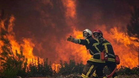 Лесной пожар под Парижем уничтожил более двух тысяч гектаров