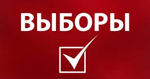 У дачников появилась возможность выбрать мэра