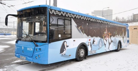 50 автобусов Москвы украсили веселыми пингвинами