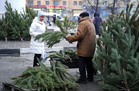Последние аукционы по елочным базарам в Москве пройдут 17 декабря