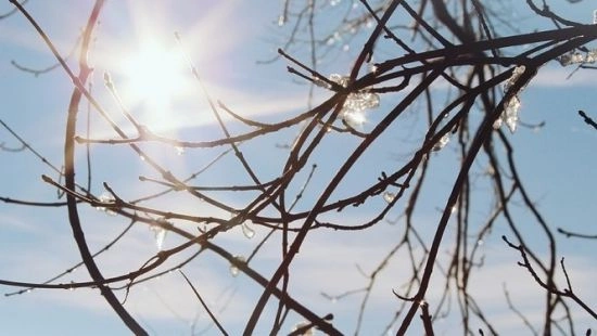 В Москве вновь ожидается оттепель