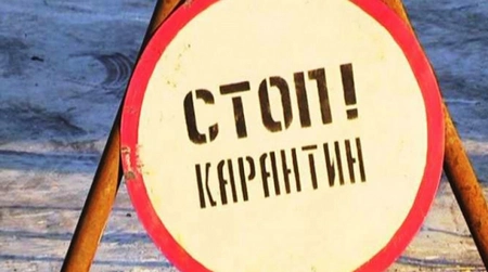 В московском районе Солнцево введен карантин по бешенству
