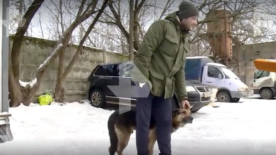 Мужчина получивший ранение дротиком в ходе отстрела бродячих псов объяснил свое  желание защитить их