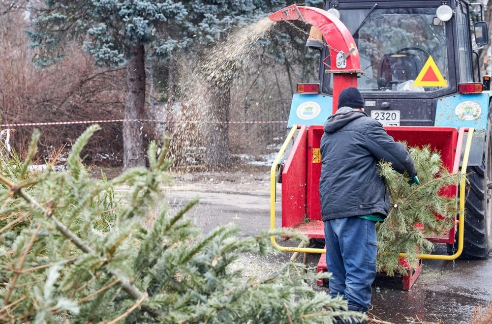 В столице проходит акция «Елочный круговорот»