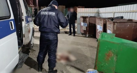 Тело младенца найдено в Москве в мусорном контейнере