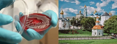 В Московской области обнаружили ещё одного зараженного сибирской язвой