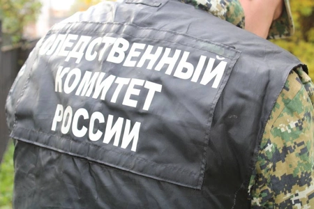 Двое детей несколько дней провели в закрытой квартире с мертвыми родителями