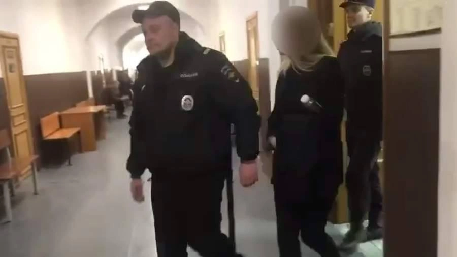 Замначальника столичного ИФНС Елену Ишханову заключили под стражу по делу о коррупции на два месяца