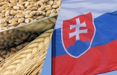 Словакия отказывается от импорта продовольствий с Украины