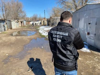 Нападения бездомных собак участились, жертвами становятся дети