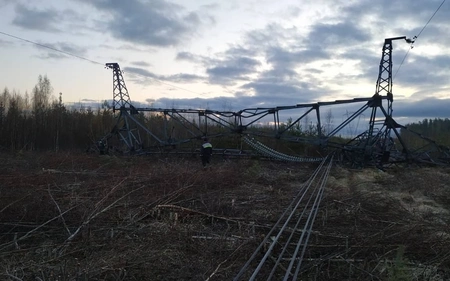 В Ленинградской области подорвали опору ЛЭП